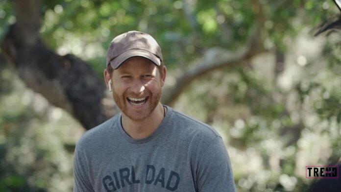 الأمير هاري الأمير هاري