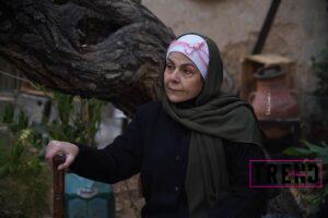 صباح الجزائري