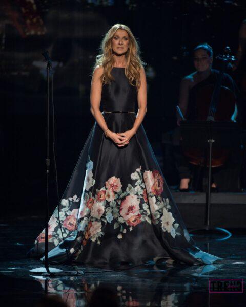 C:\Users\MHK\Downloads\Celine Dion Elie Saab.jpeg