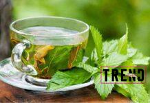 هل أنت من محبي شرب الشاي الأخضر؟ إذًا استمر في ذلك لفوائده الكثيرة image.jpg